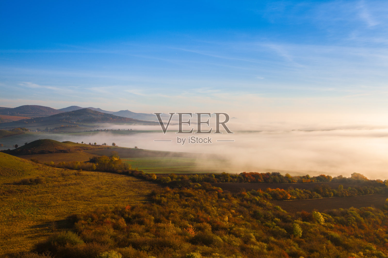 有雾的早晨照片摄影图片