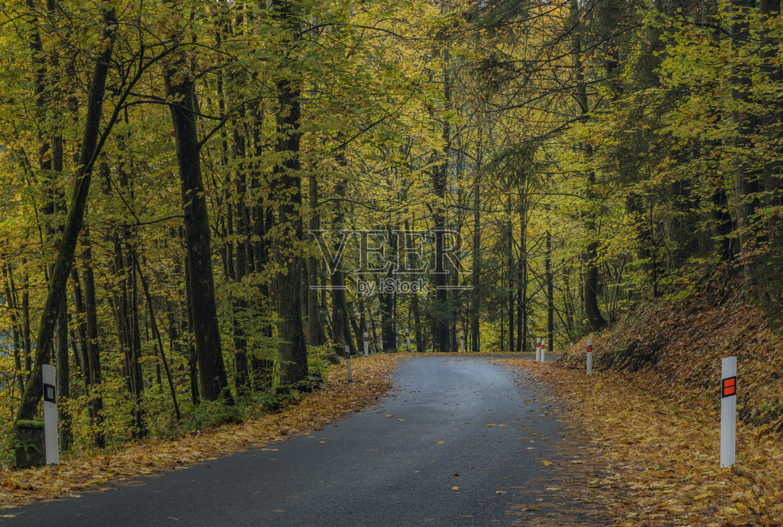 秋日黄昏，杰森尼村附近的路照片摄影图片