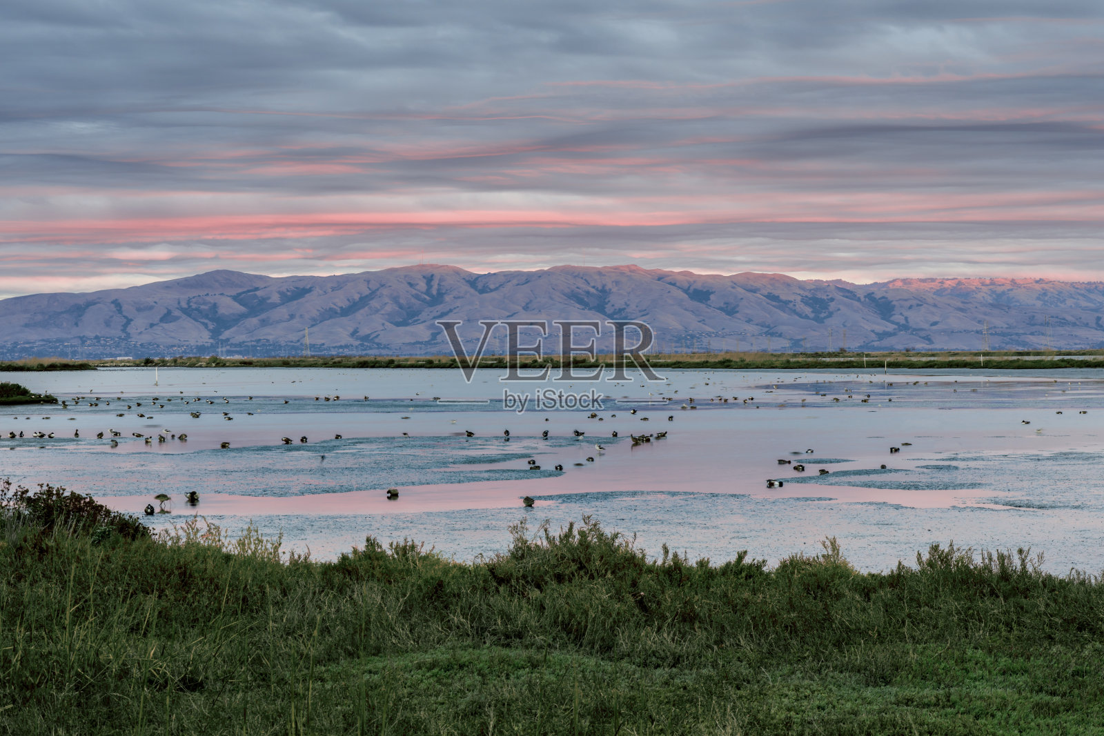 迪亚波罗山脉和查尔斯顿沼泽雨后日落。照片摄影图片