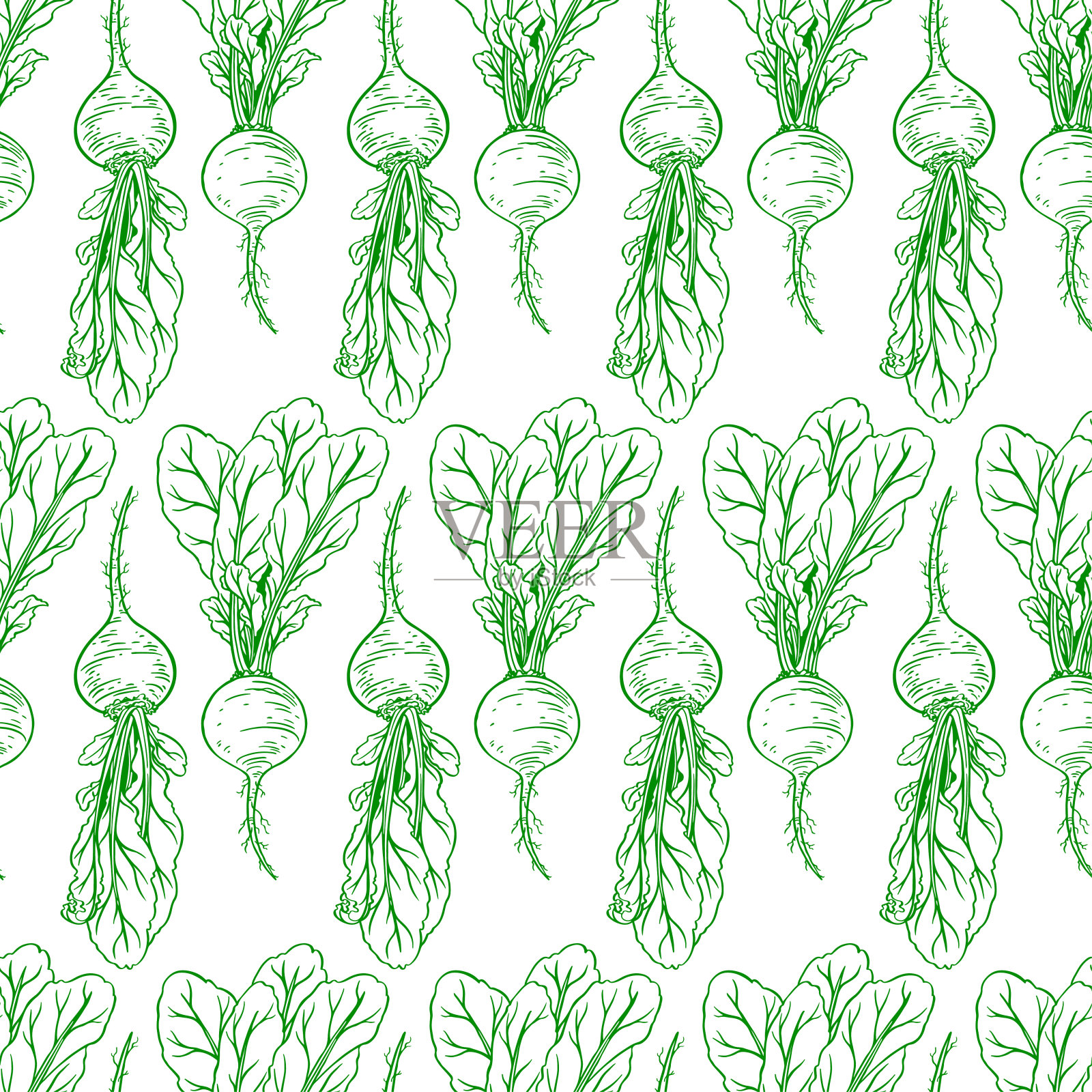 无缝熟萝卜插画图片素材