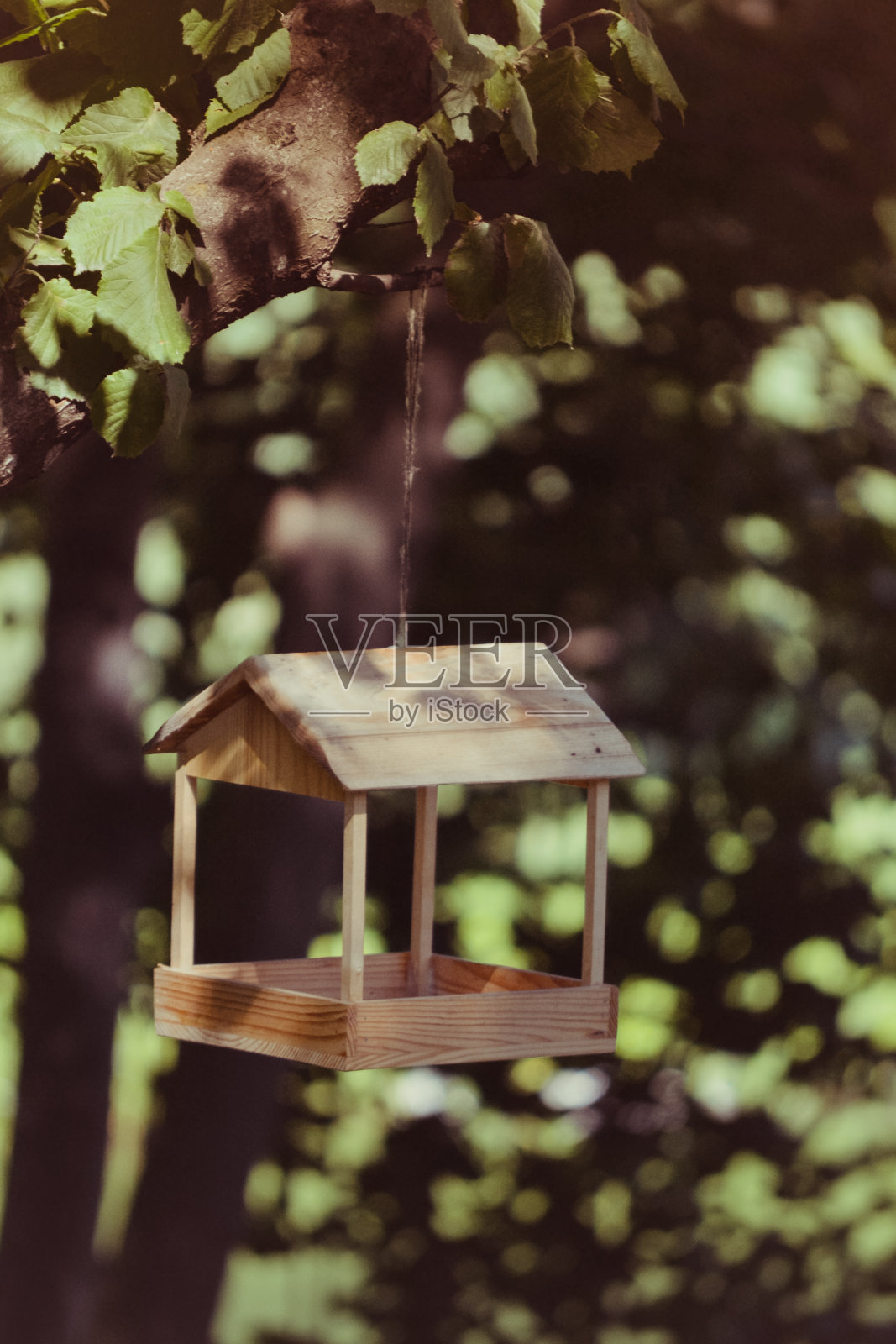 森林里的喂鸟器照片摄影图片