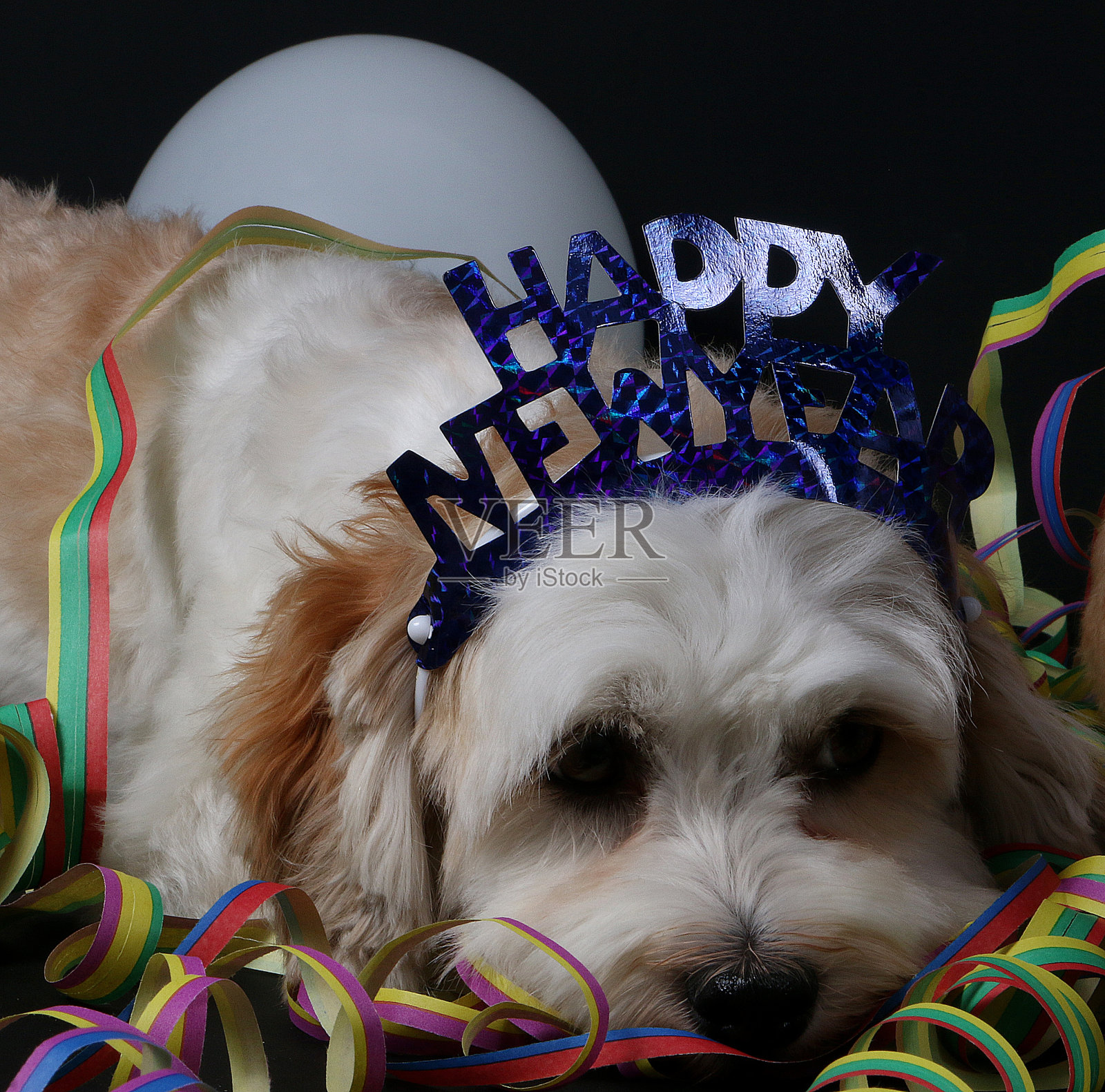 党洪德照片摄影图片