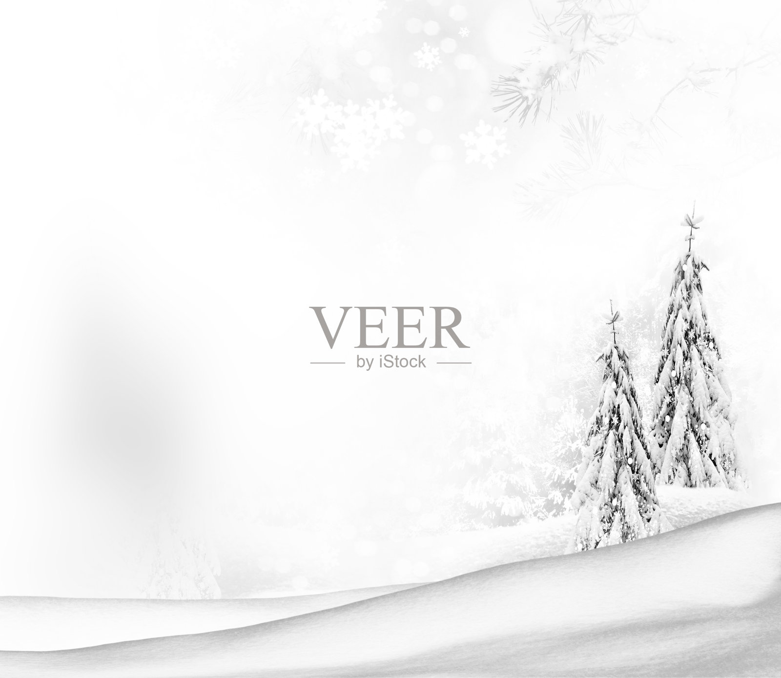 冰冻的冬天了照片摄影图片