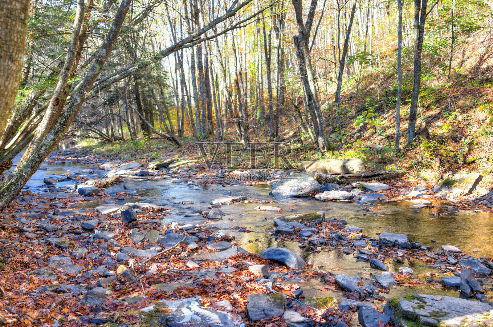 东叉绿荆棘河溪在西弗吉尼亚州在色彩缤纷的秋天与许多岩石和落叶的森林在岛上露营地照片摄影图片