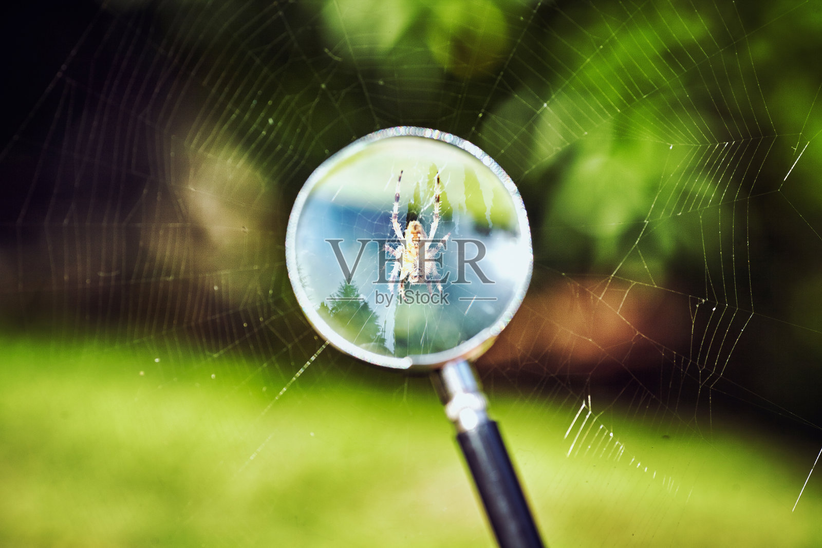 在绿色植被的背景上的放大镜照片摄影图片