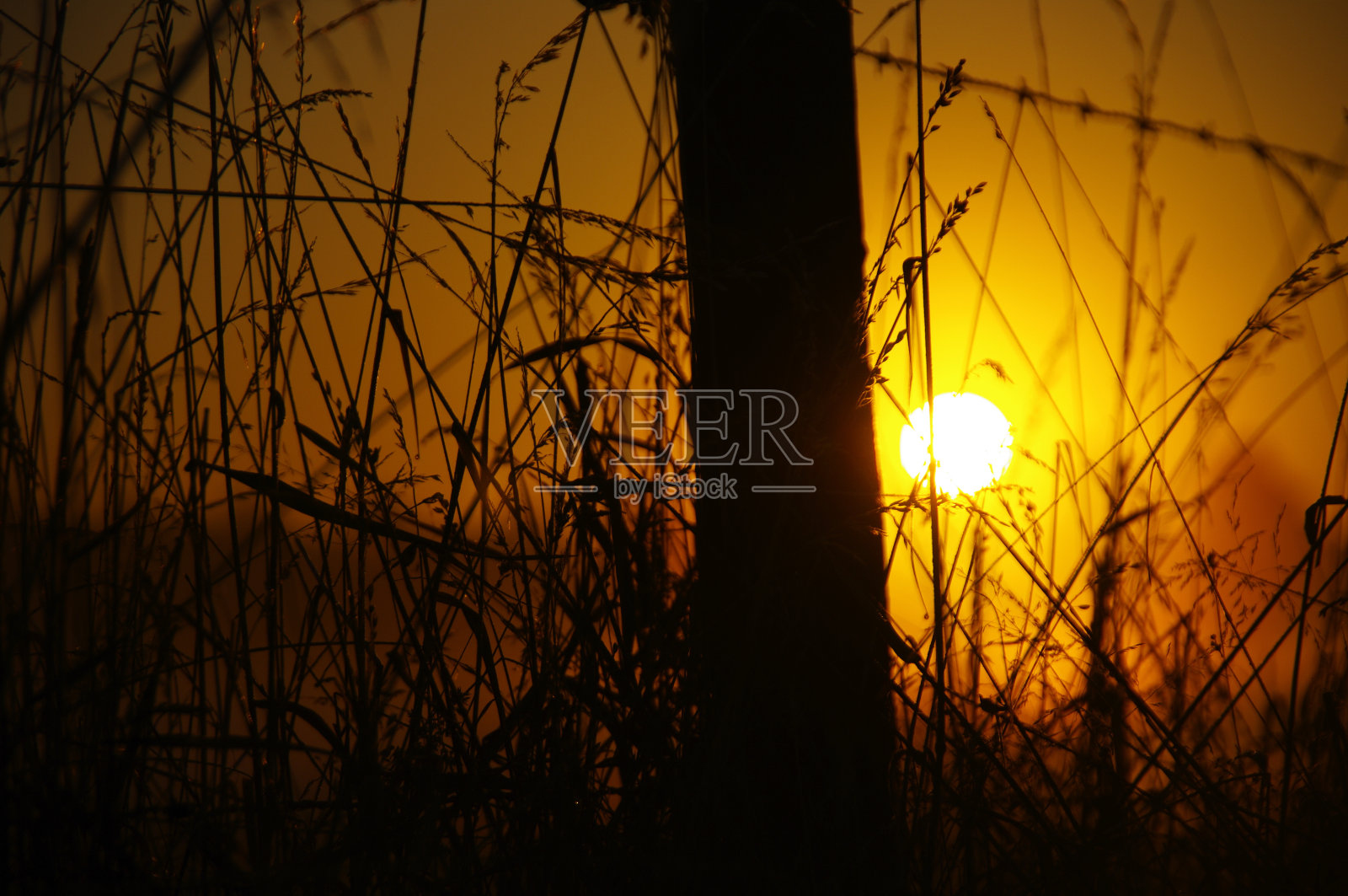 乡村的日出照片摄影图片
