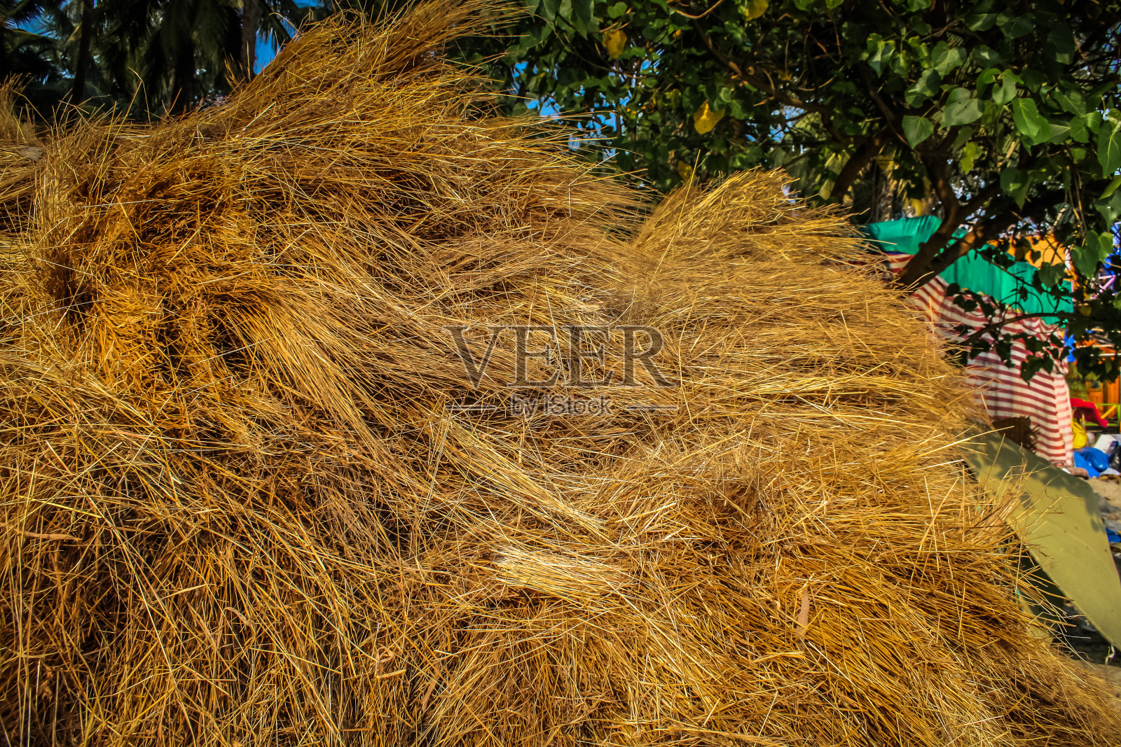 印度的颜色照片摄影图片