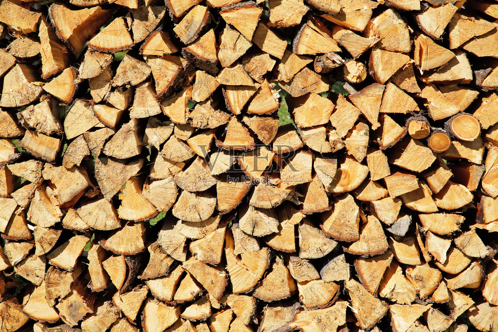 白桦柴堆的末端照片摄影图片