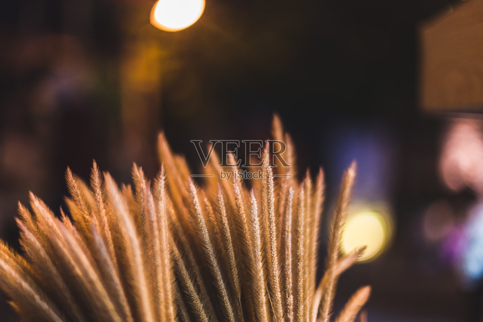 美丽的干草与散焦在晚上的背景照片。照片摄影图片