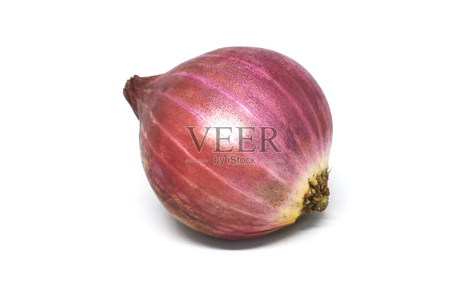 红洋葱白背景照片摄影图片