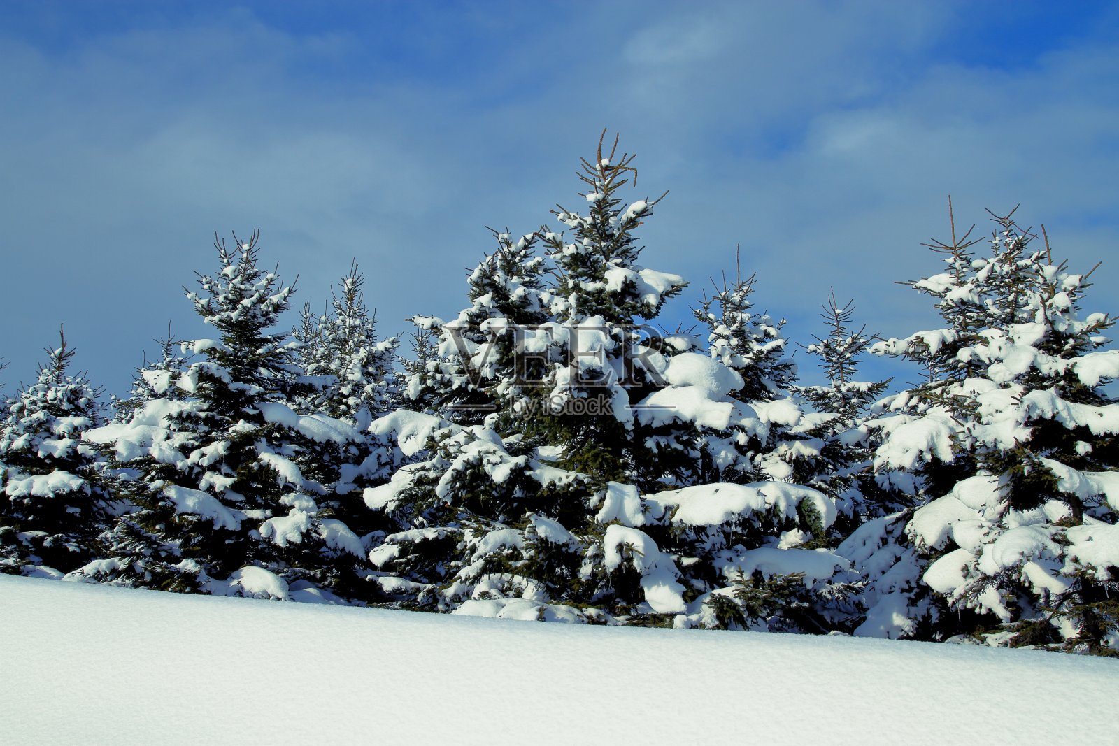 冬季的北海道景观照片摄影图片