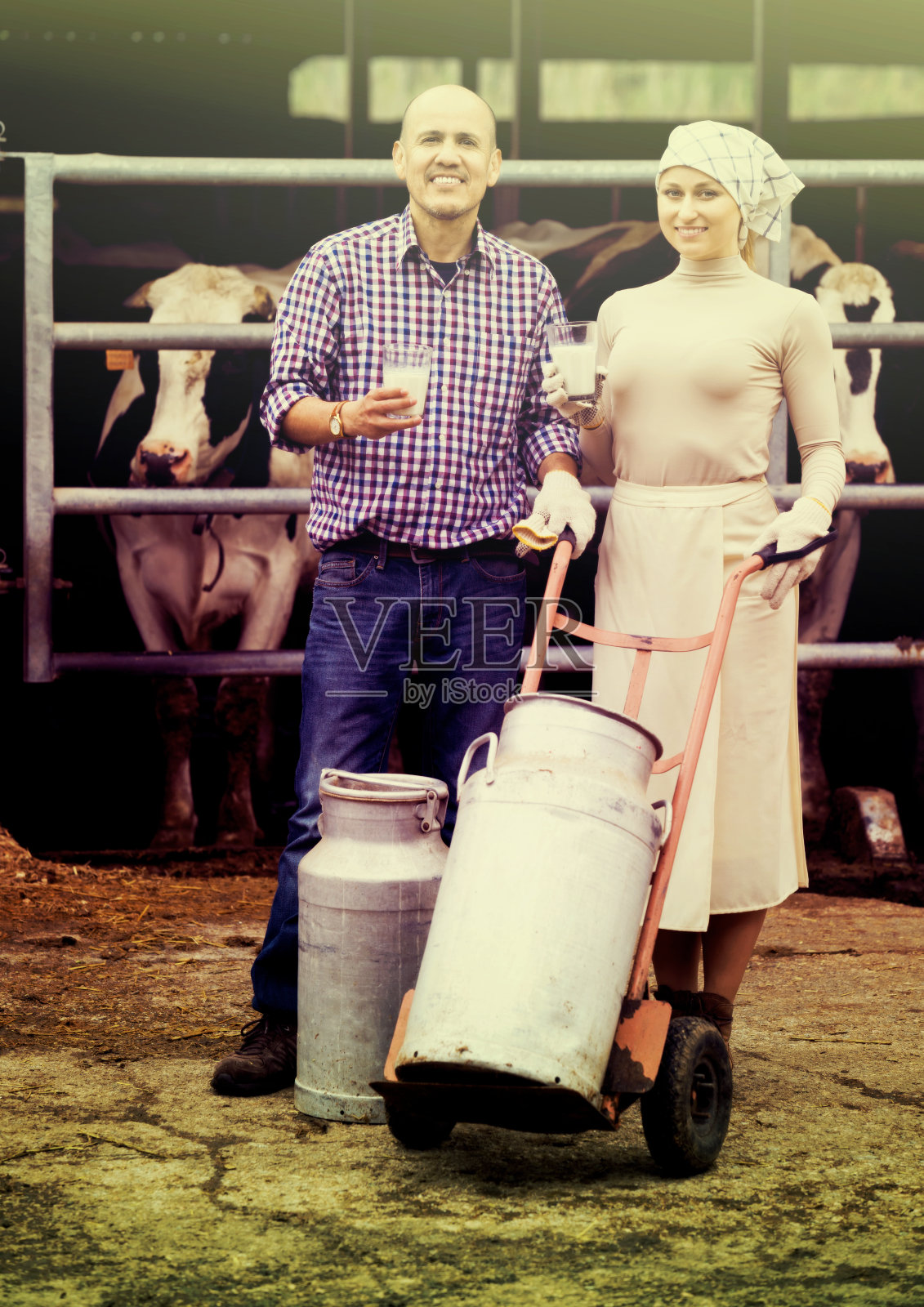 两个农工在牛棚里照片摄影图片