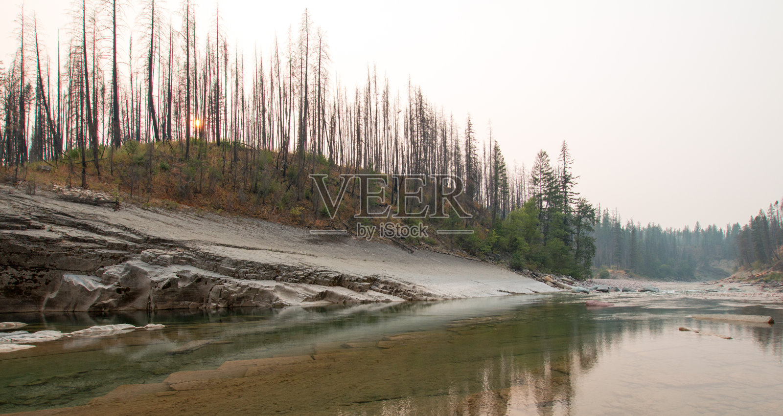 2017年秋季，美国蒙大拿州鲍勃马歇尔荒野地区平头河南叉的草甸溪峡谷发生火灾照片摄影图片