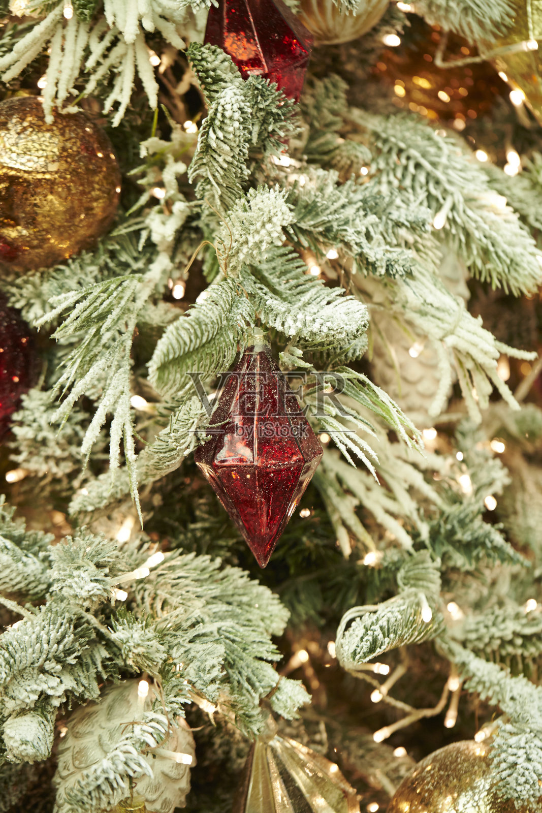 圣诞树照片摄影图片