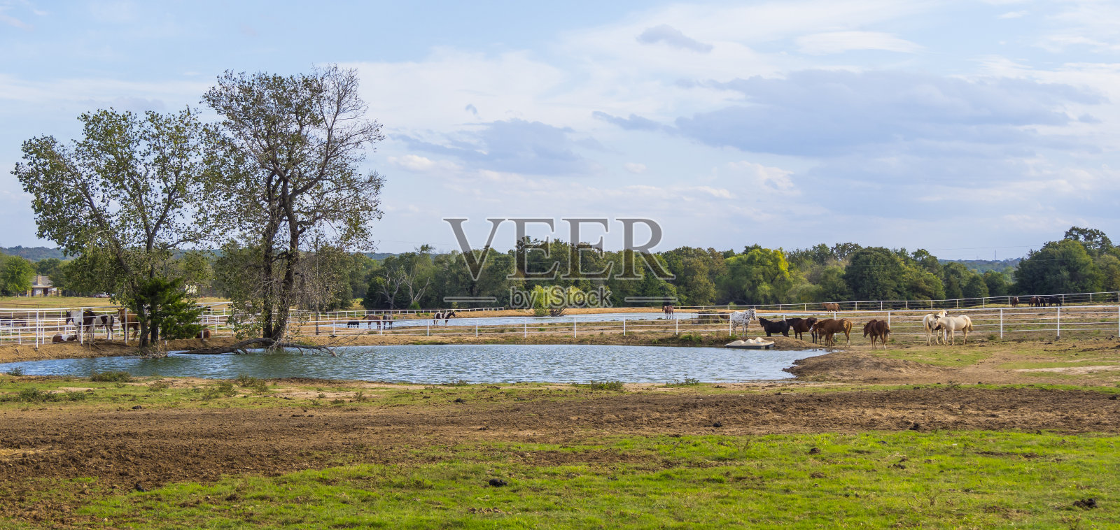 俄克拉荷马州一个漂亮的小池塘照片摄影图片