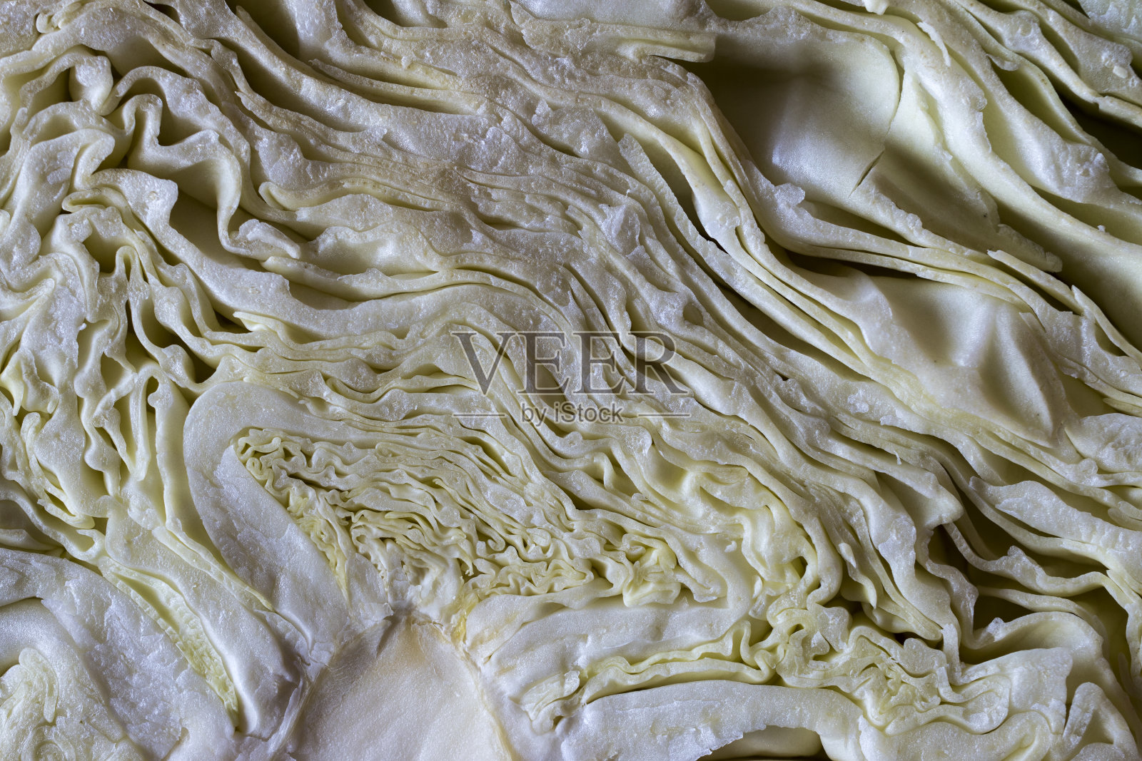 拉近距离照片摄影图片