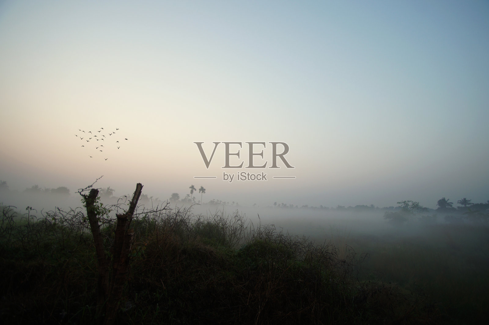 你喜欢在海里游泳吗?照片摄影图片