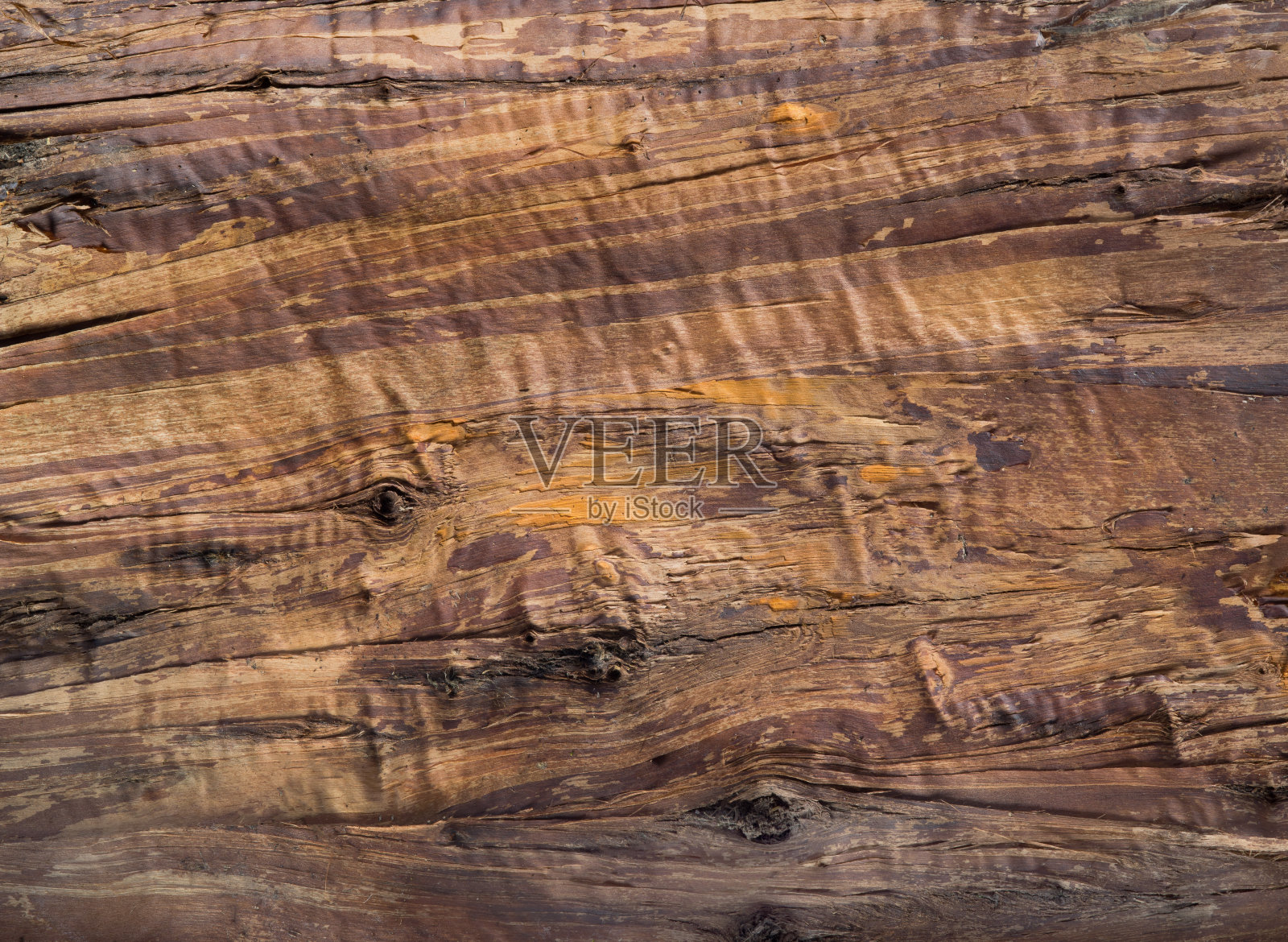 棕色的旧纹理照片摄影图片