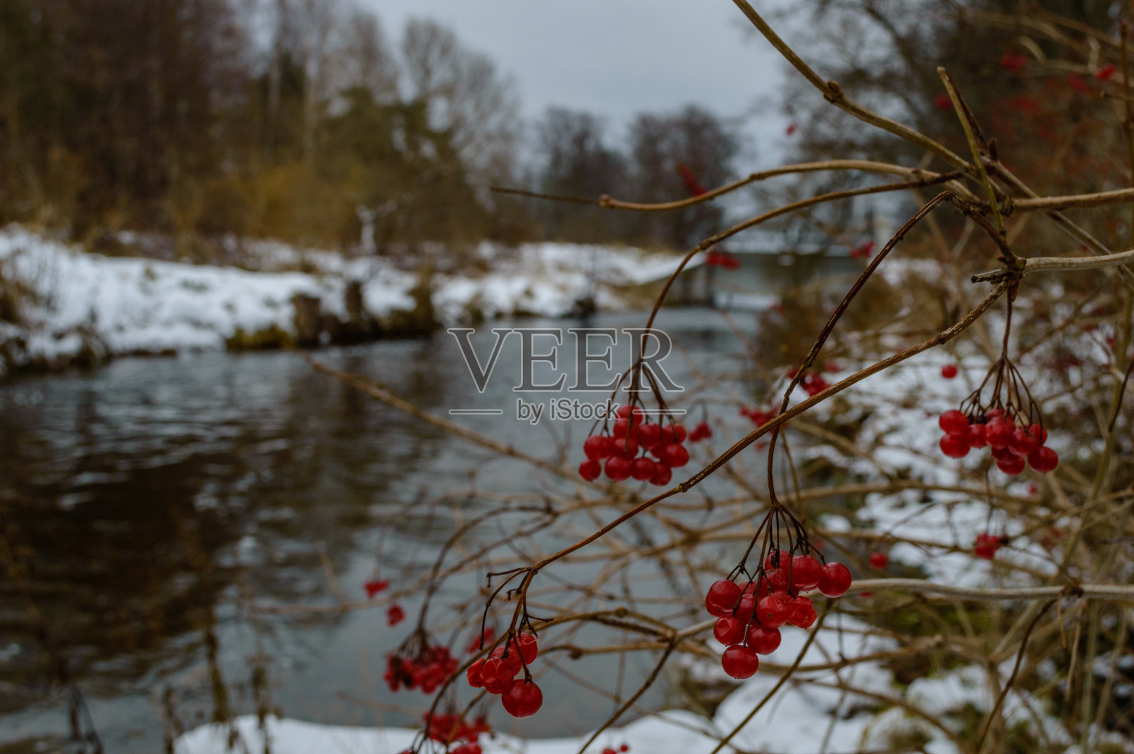 冬天的乡村景色，白雪和白色的田野照片摄影图片