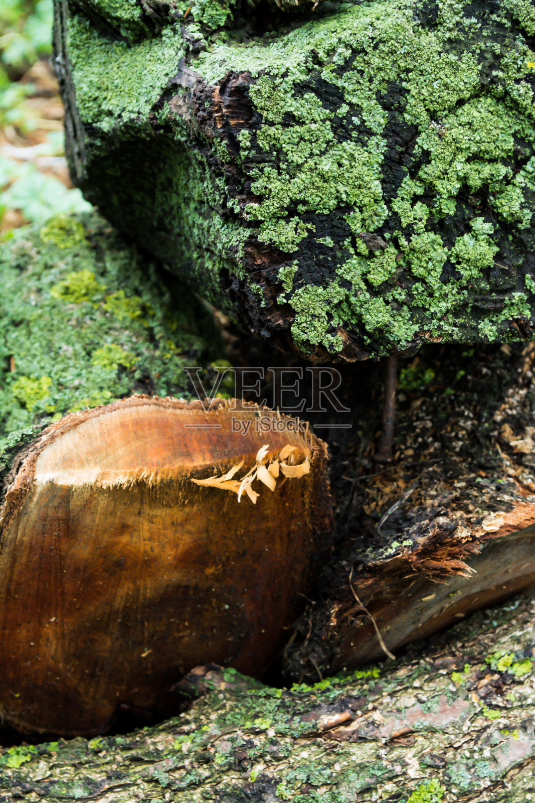 木刻背景-库存图像照片摄影图片