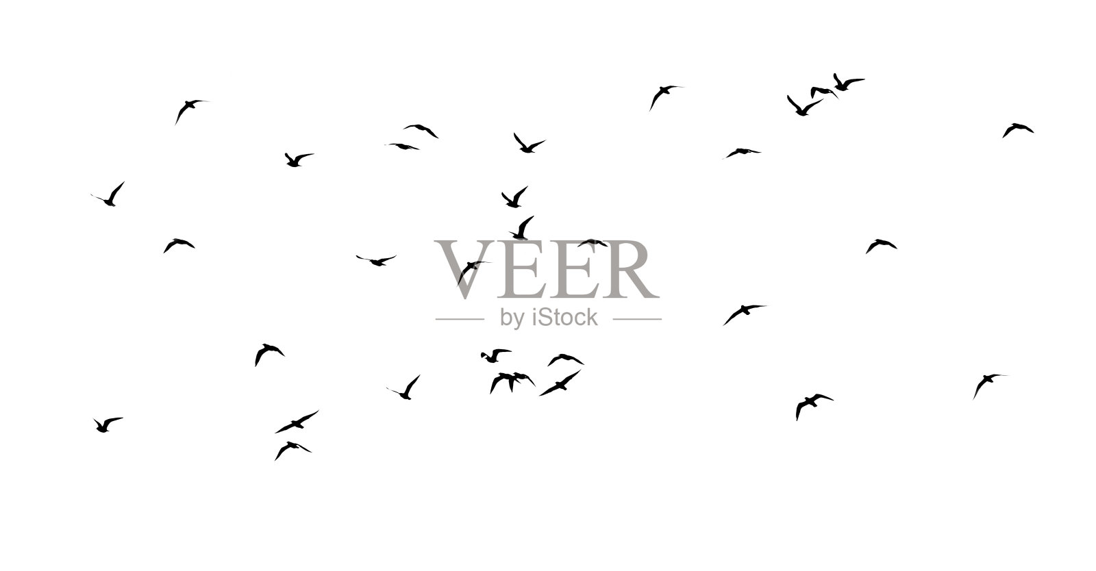 白色背景上一群鸟的剪影照片摄影图片