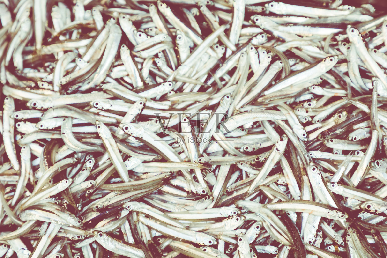 意大利西西里岛巴勒莫市场上五颜六色的鱼照片摄影图片