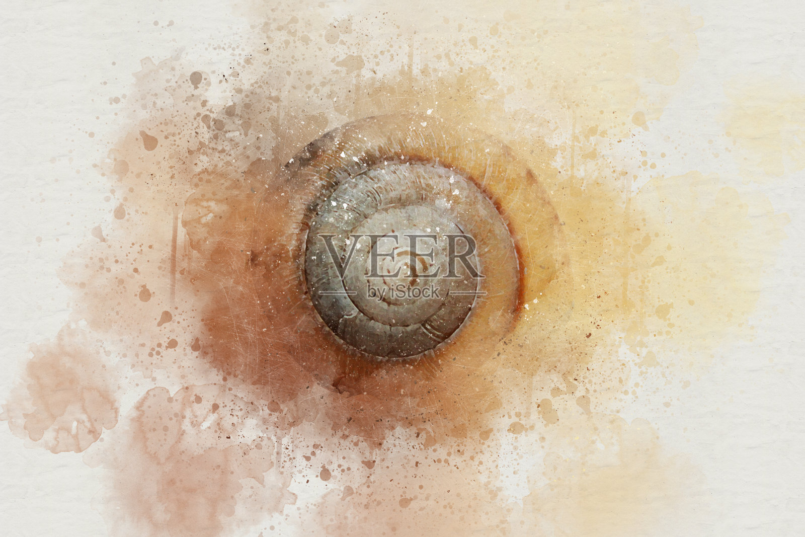 抽象彩色贝类水彩画背景，贝类水彩画特写照片摄影图片