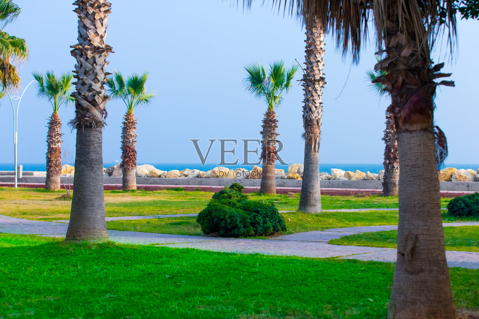 公园和花园照片摄影图片