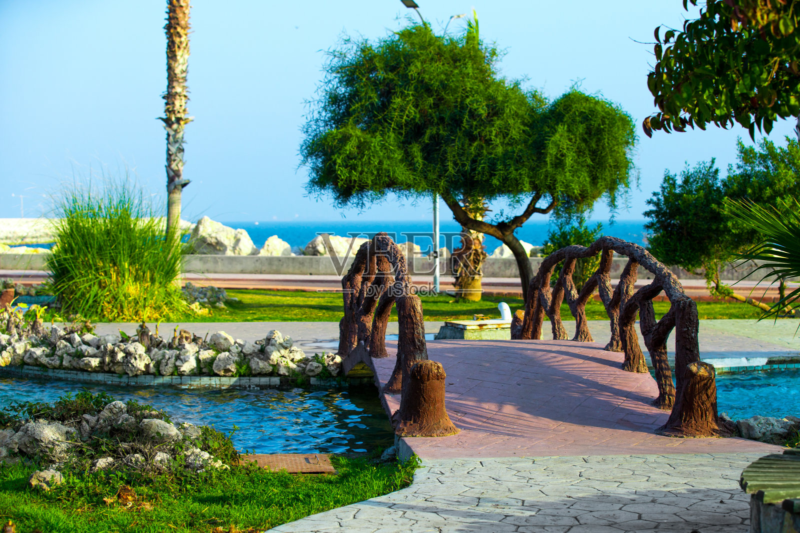 公园和花园照片摄影图片