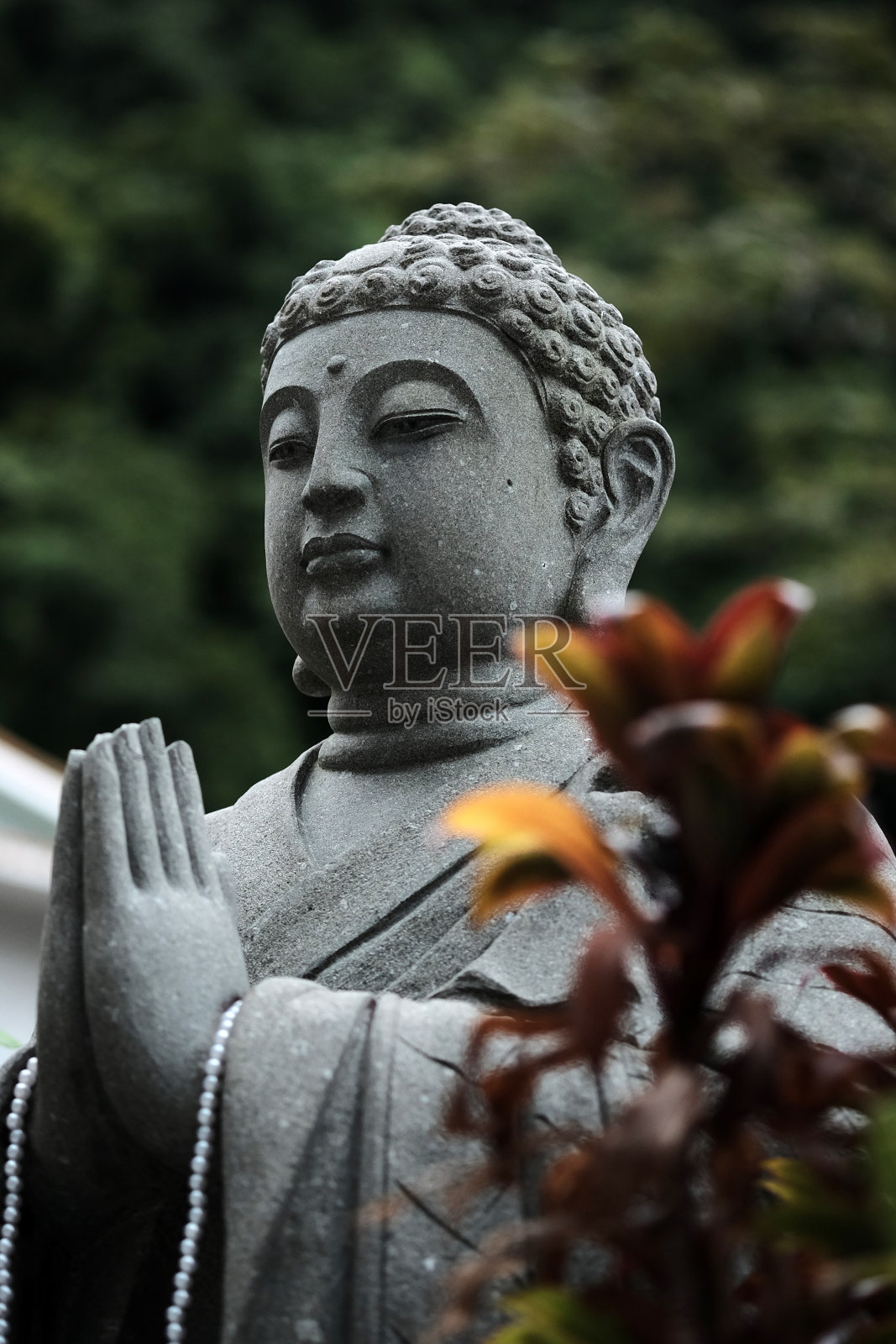 站在佛像照片摄影图片