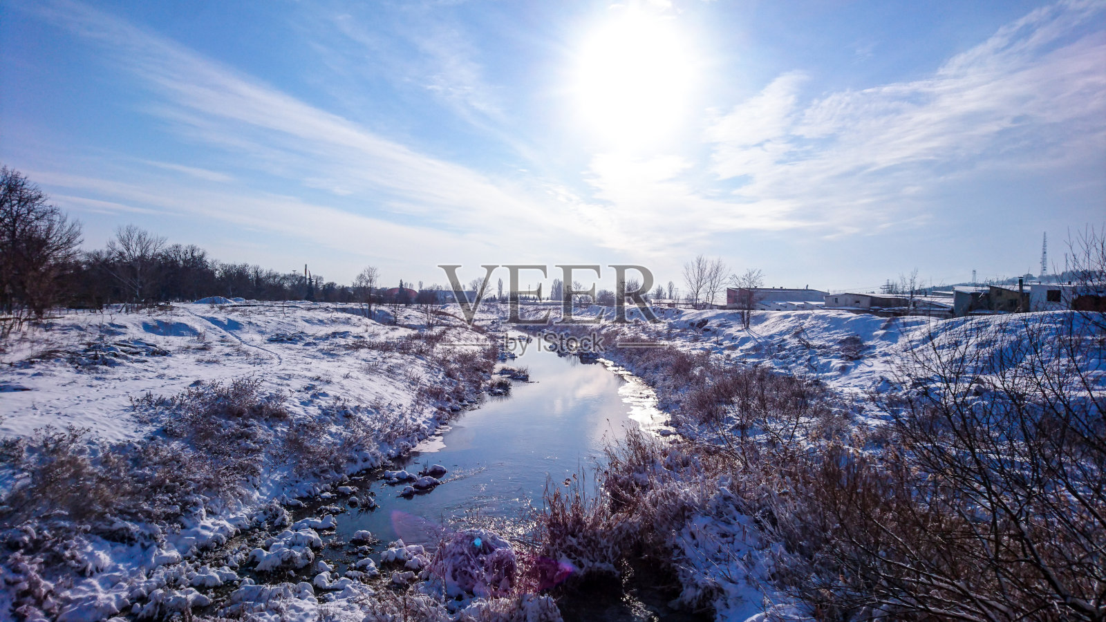 火鸡照片摄影图片