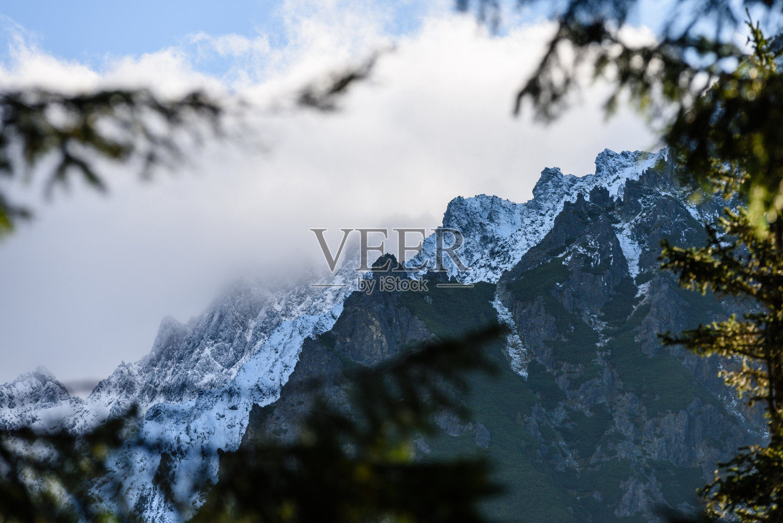 全景式的云雾森林在山区，山隐藏在树后面照片摄影图片