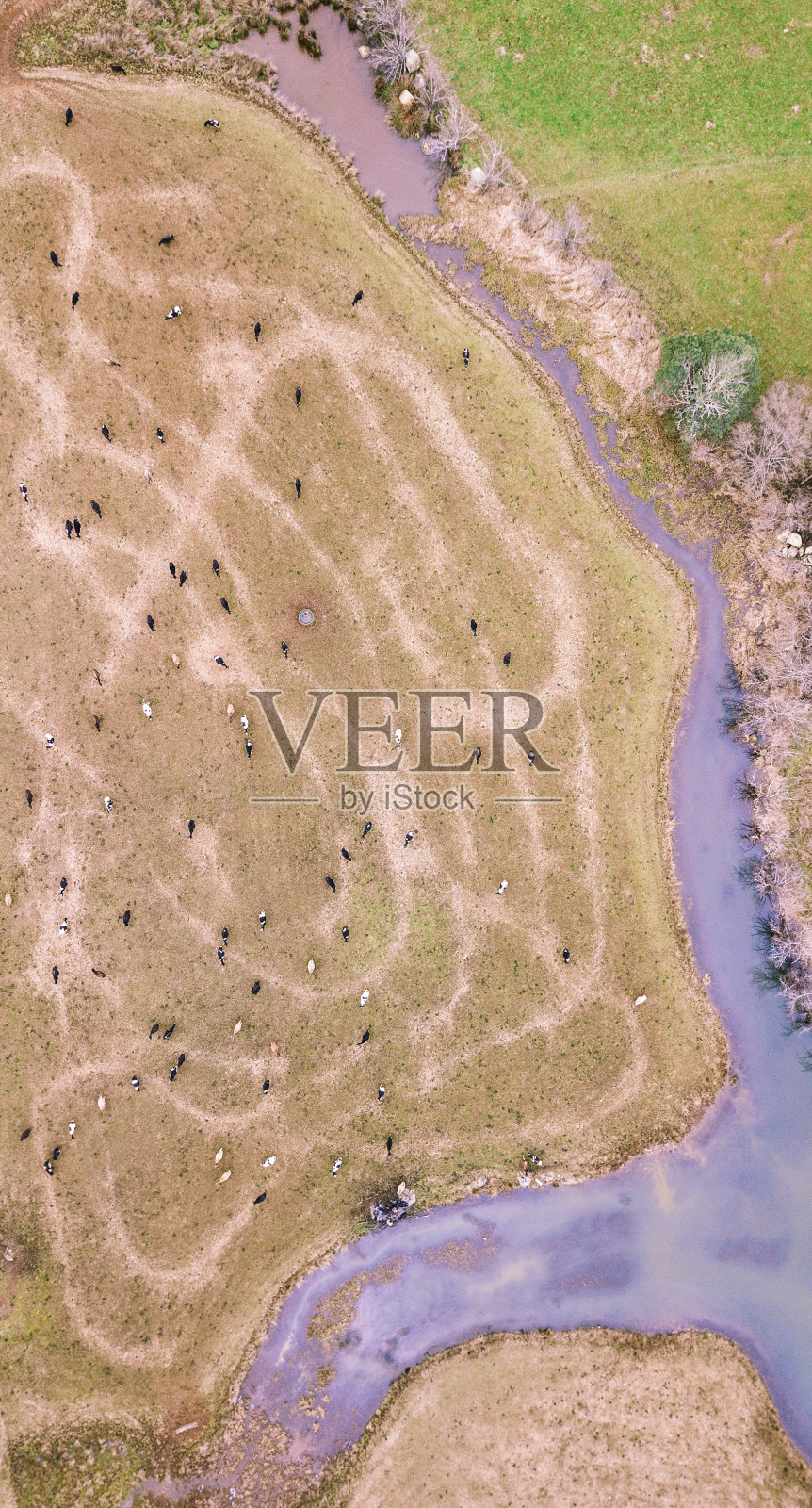 澳大利亚塔斯马尼亚的农田照片摄影图片