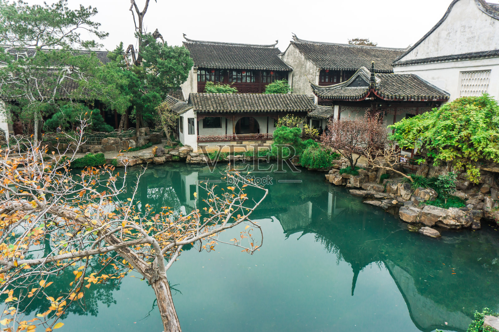 苏州园林中的池塘和风景照片摄影图片