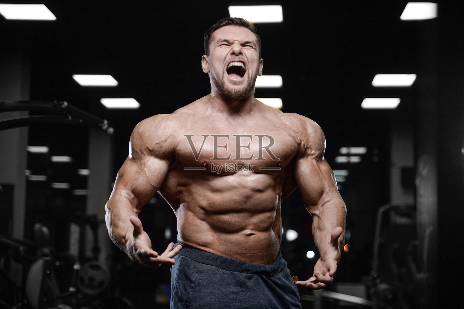 野蛮强壮的健美运动员用哑铃锻炼肌肉照片摄影图片