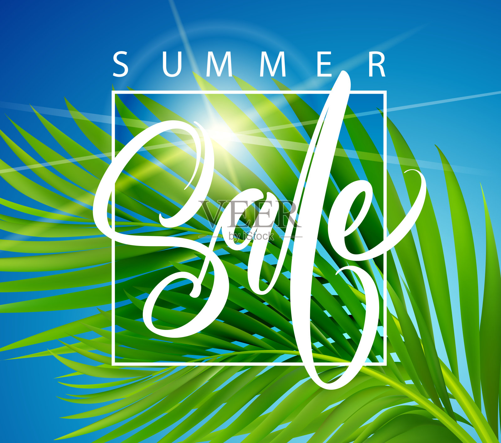 带有热带棕榈叶的夏季海报。矢量图插画图片素材