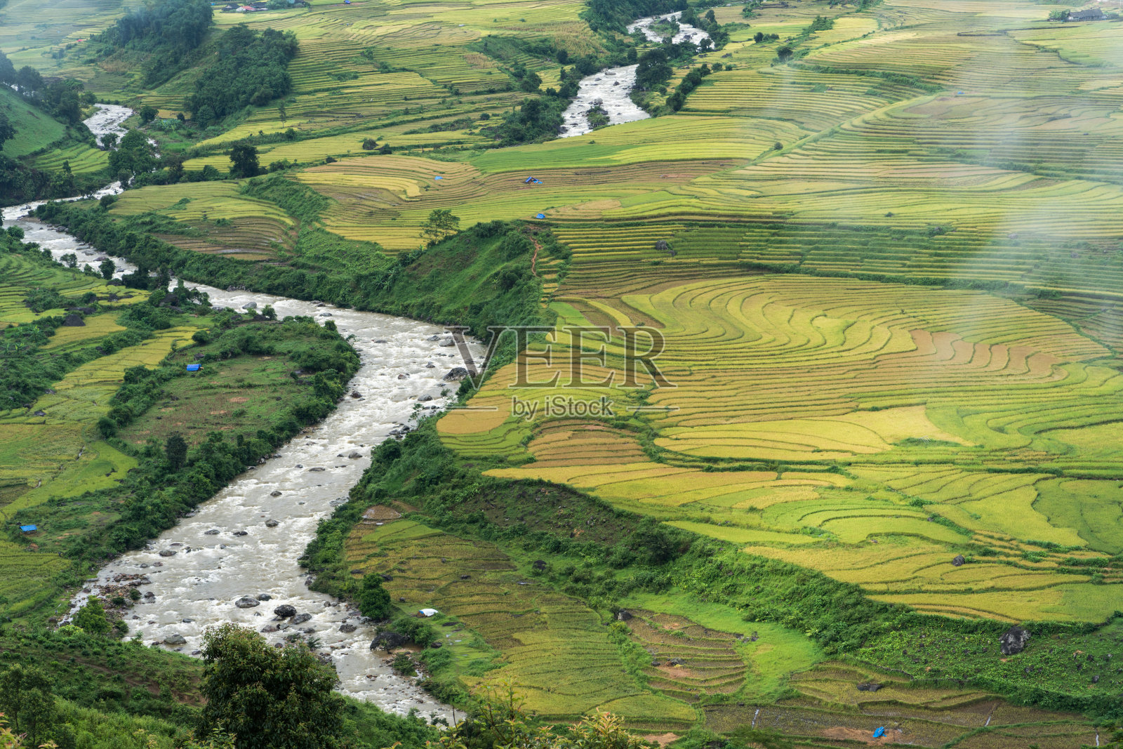 梯田景观与河流在收获季节，Y Ty, Bat Xat区，老街，越南北部照片摄影图片