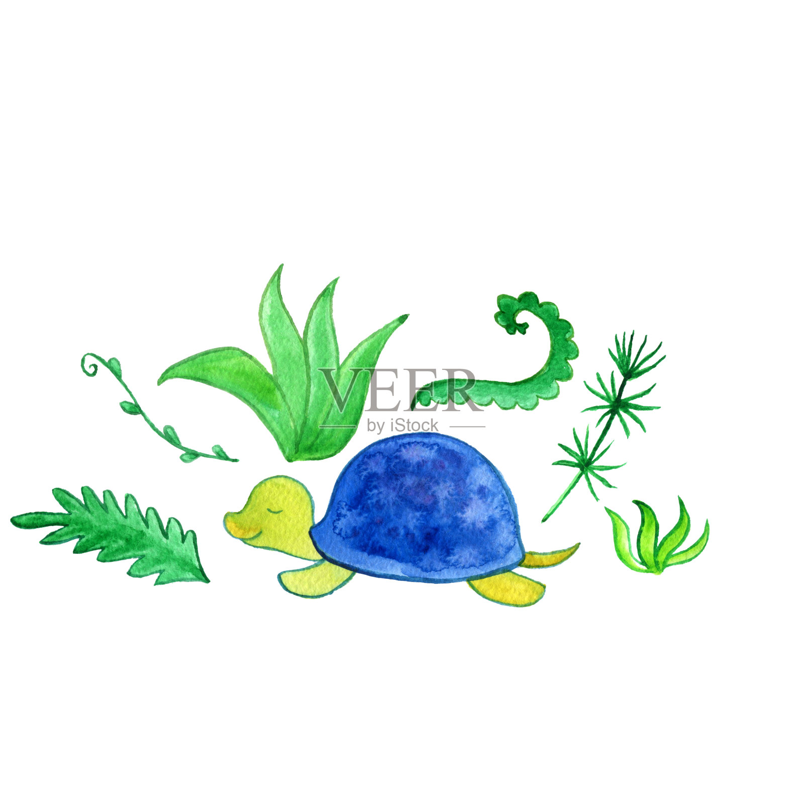 恐龙与史前植物插画图片素材