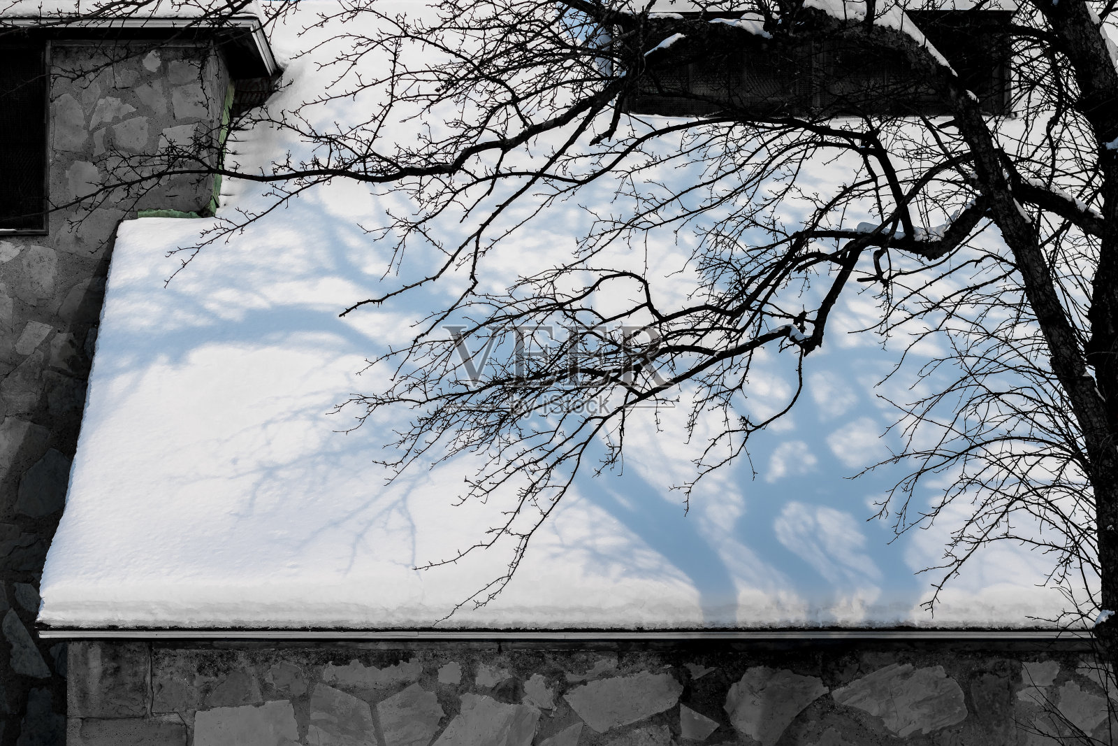 白雪覆盖的教堂屋顶和树影照片摄影图片