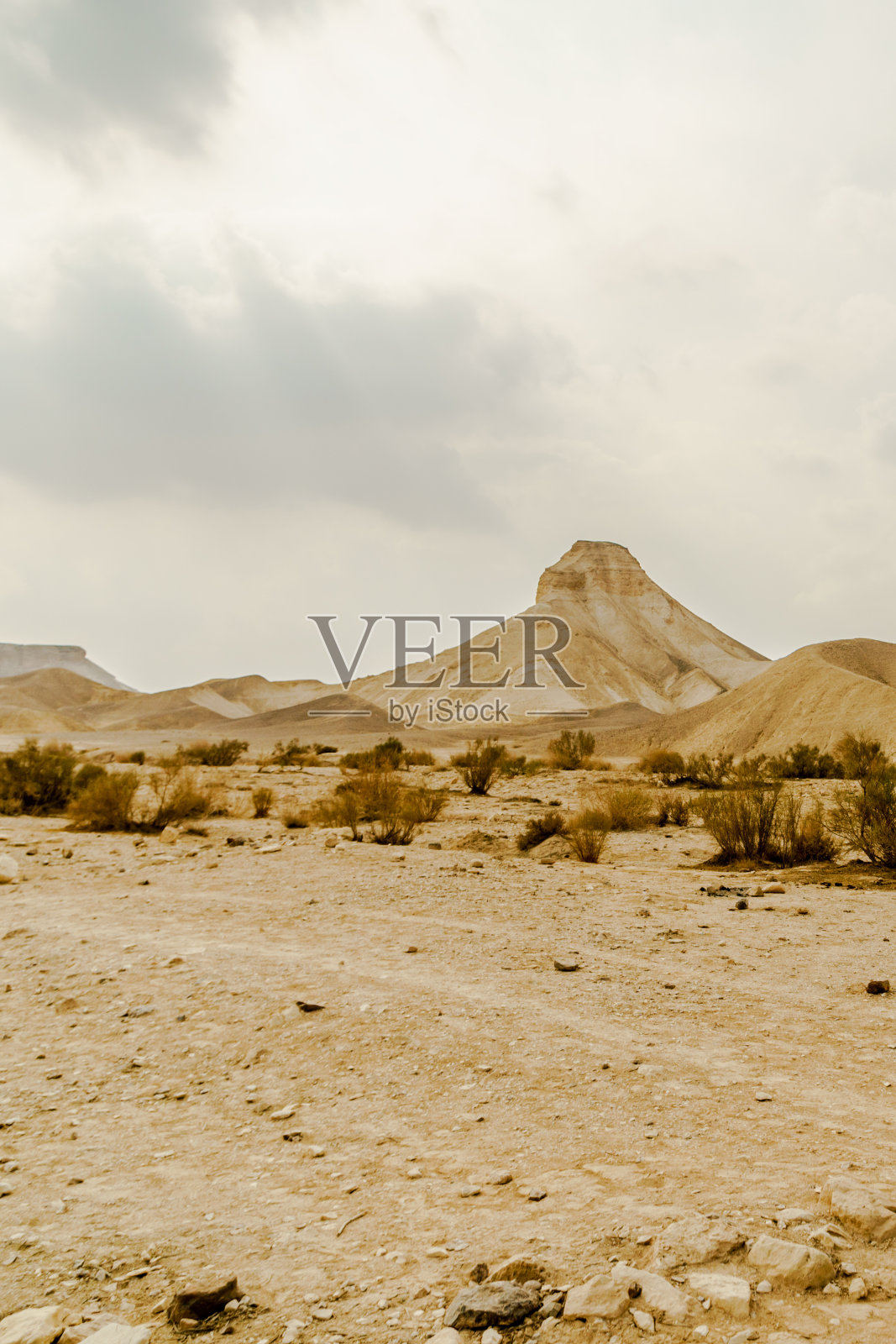 在以色列干燥的中东荒野的垂直景观视图照片摄影图片