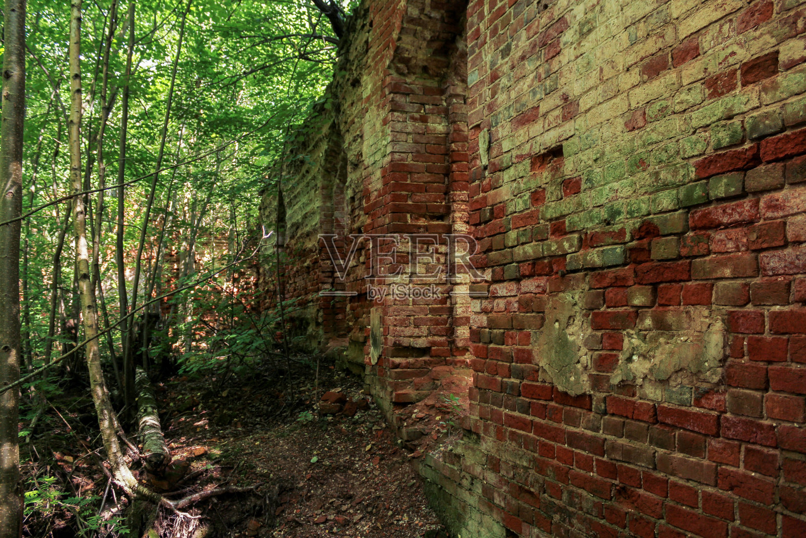 森林里的砖墙。照片摄影图片