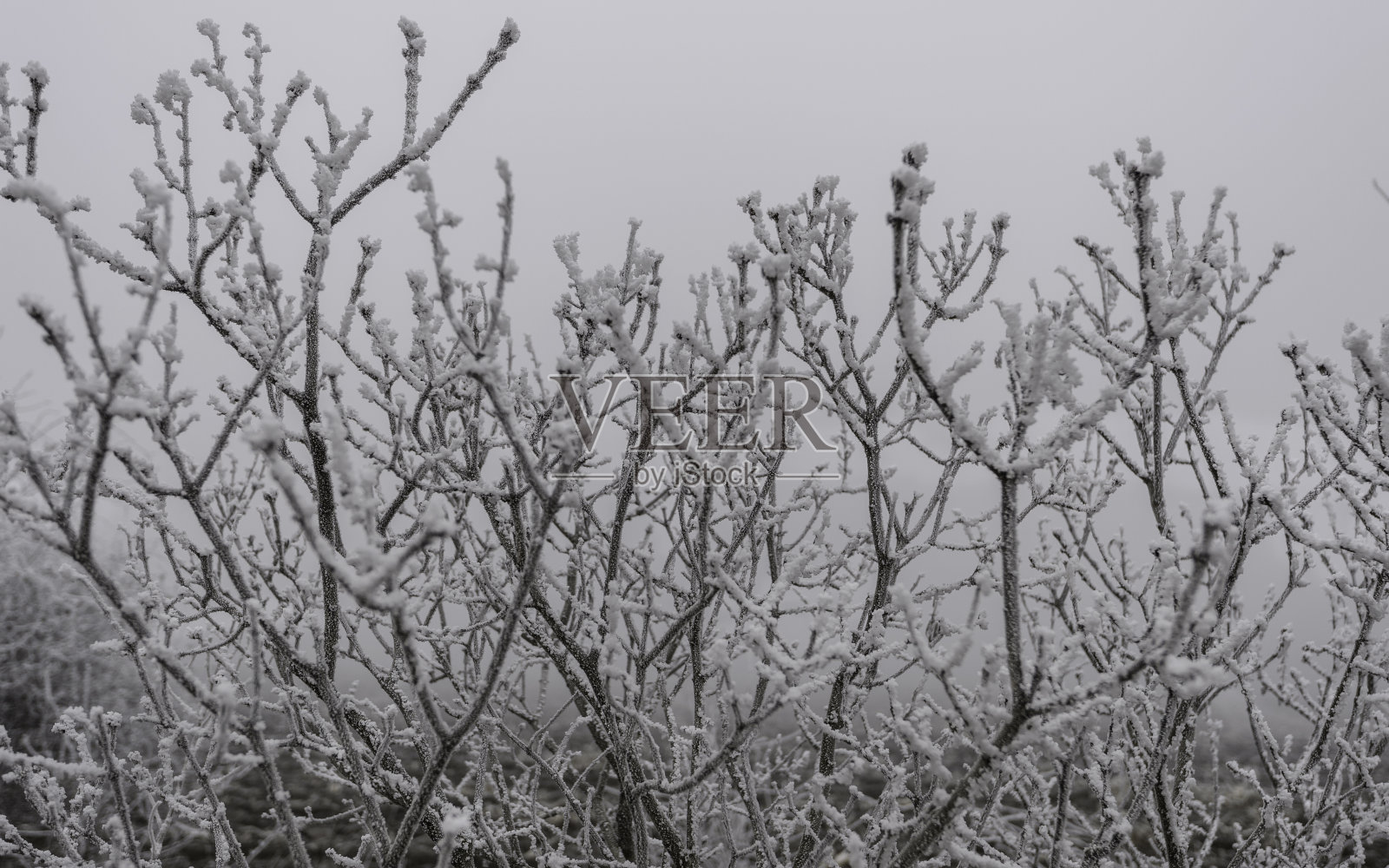 美丽的冬天的风景照片摄影图片