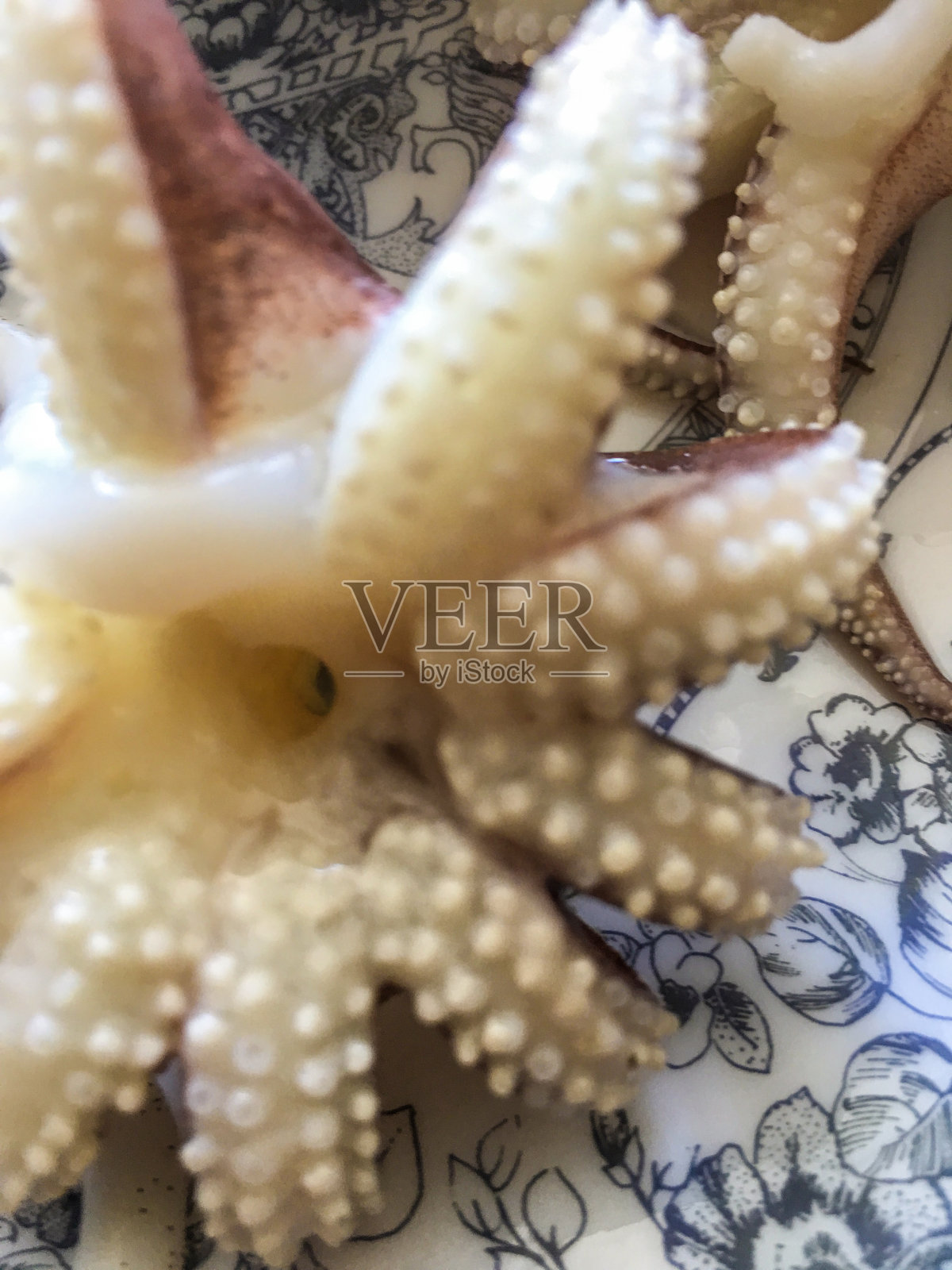 章鱼背景分离照片摄影图片