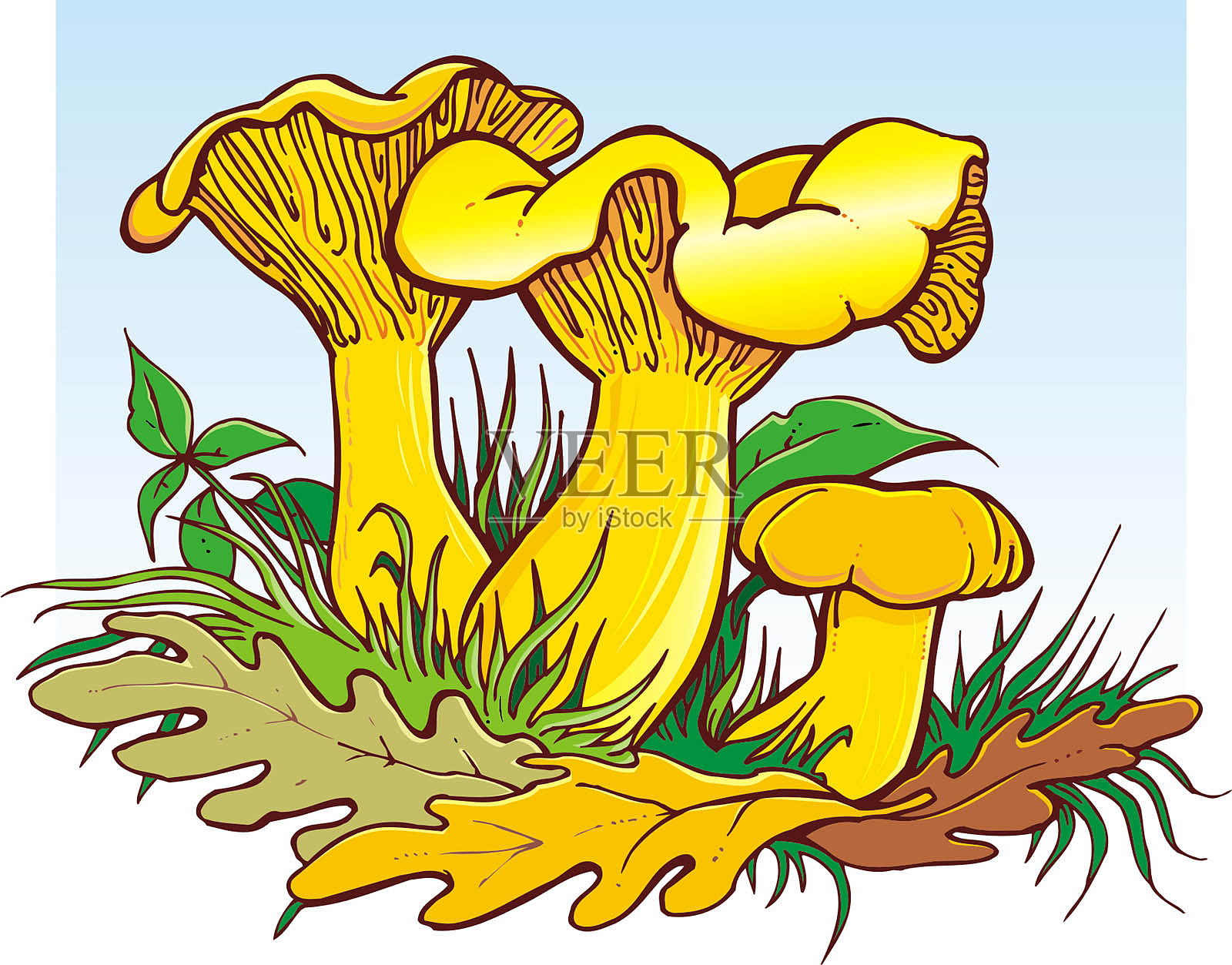 蘑菇插画图片素材