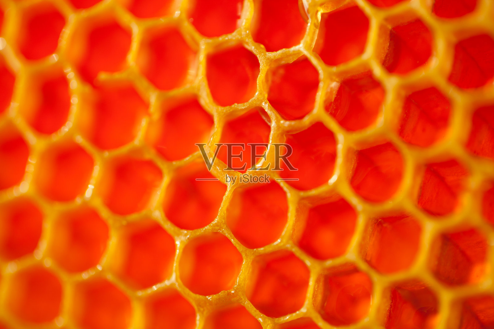 健康和健康食品系列-新鲜收集的有机蜂蜜在蜂巢照片摄影图片