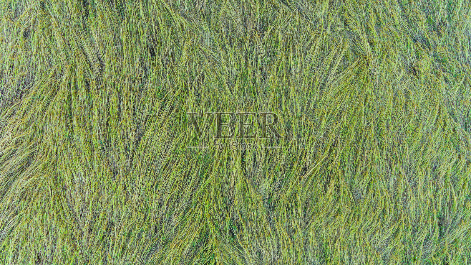 泰国稻田的鸟瞰图。照片摄影图片