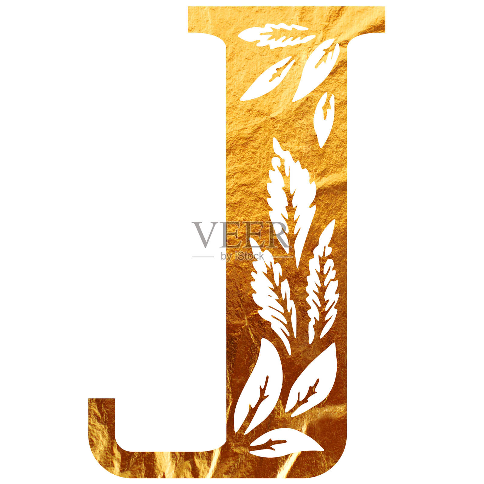 名字的首字母。纹理的黄金。设计元素图片