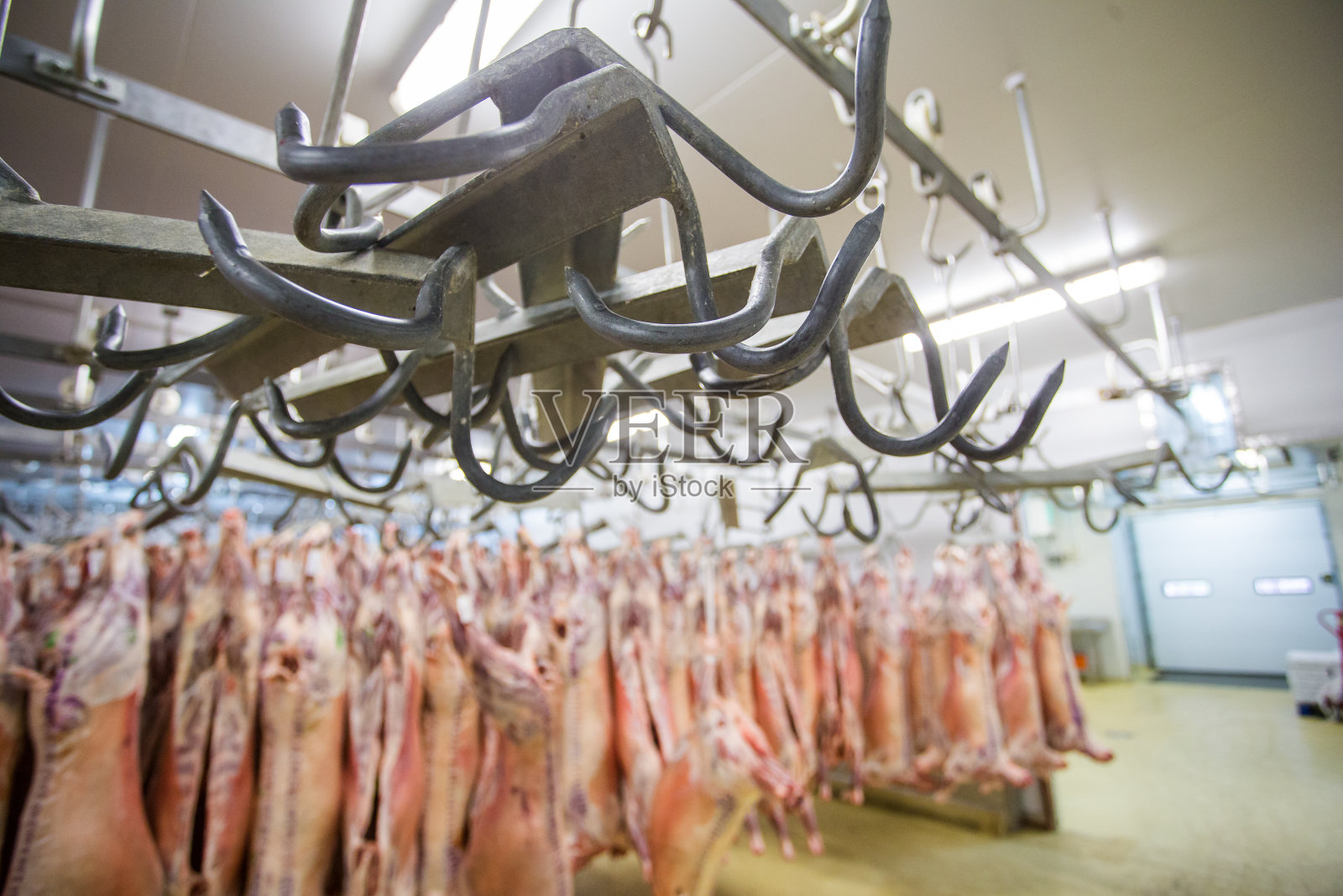一个肉类钩在屠宰场的近距离图像与羊肉的尸体在背景照片摄影图片