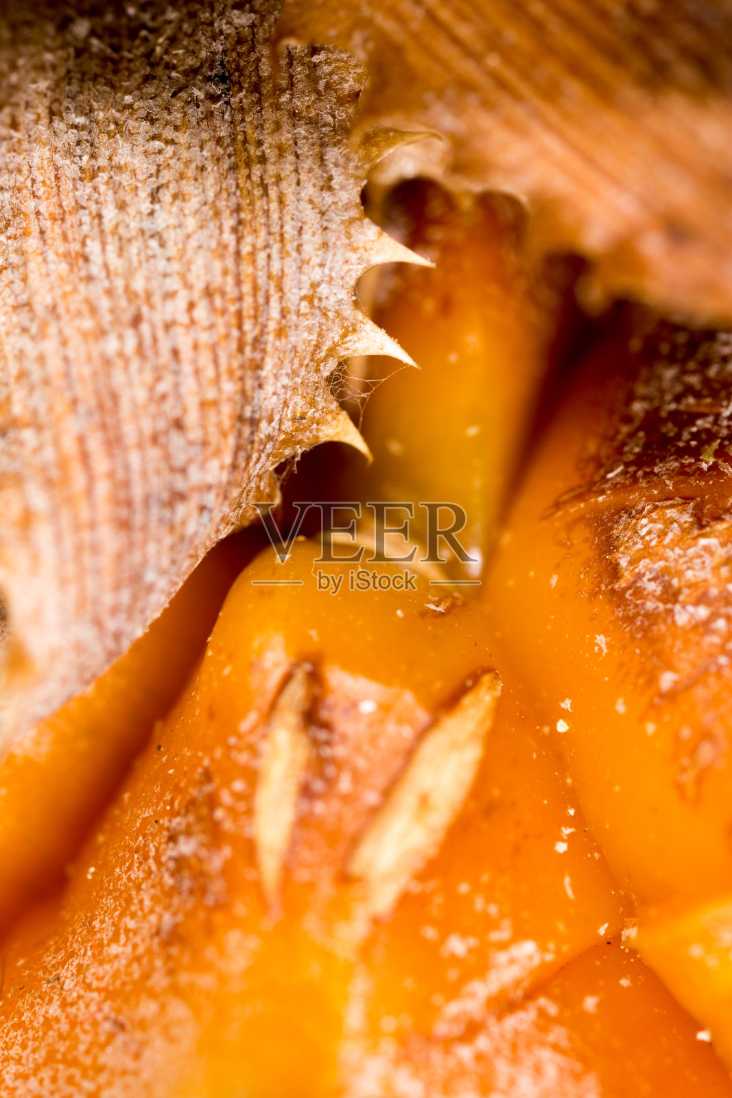 多汁的菠萝作为背景。宏照片摄影图片