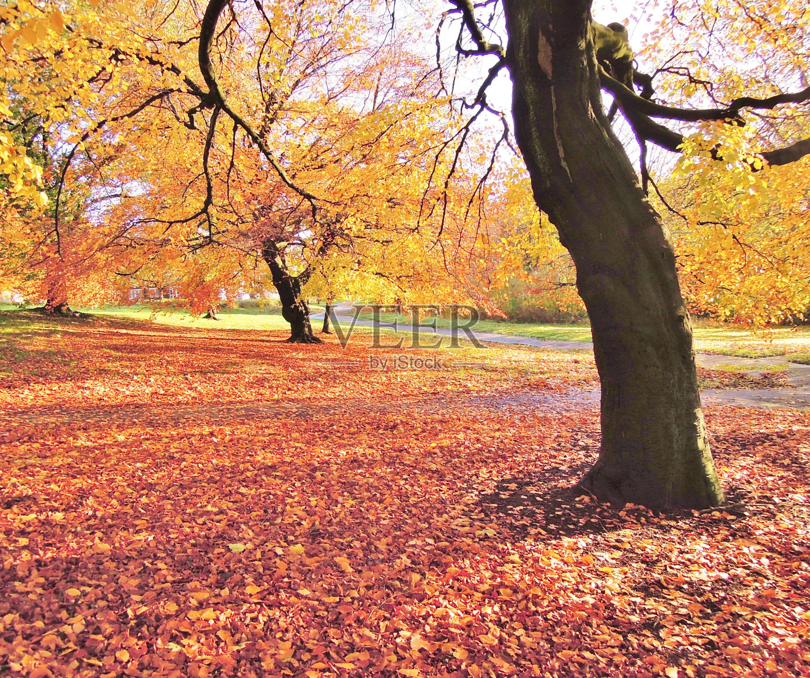 秋天的风景。照片摄影图片